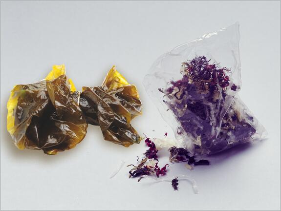 Algen als Rohmaterial (links), transparente Verpackungsfolie von Mujo (rechts).