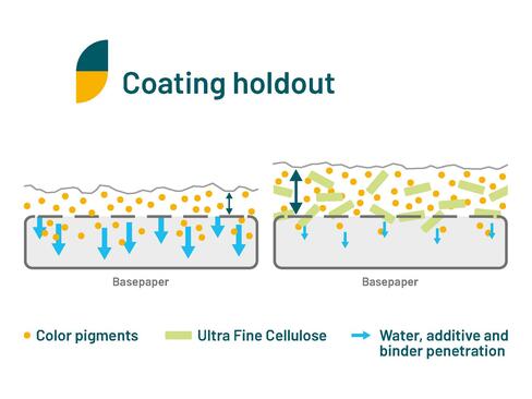 Verbesserte Beschichtungshaftung durch feine Cellolosepartikel