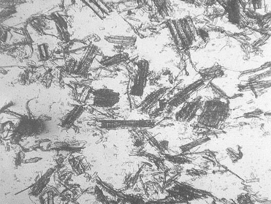 Holzpartikel für die Masse von Kartonagen