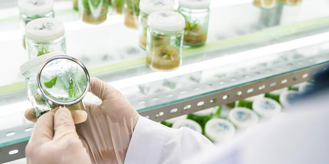 JRS entwickelt maßgeschneiderte Lösungen, die Ihr Produkt nachhaltig besser machen.