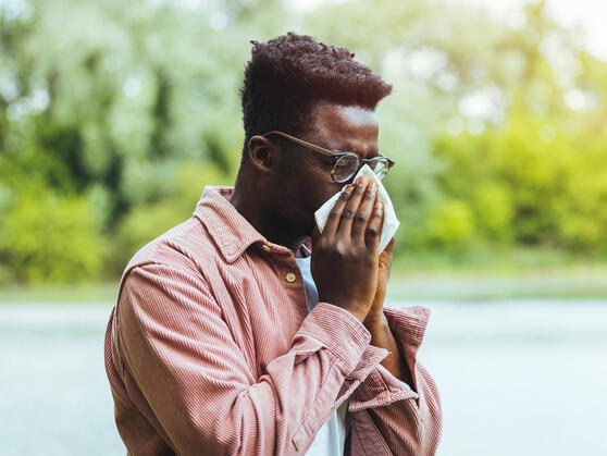 Ein ausgeglichenes Darmmikrobiom ist entscheidend für das Immunsystem.