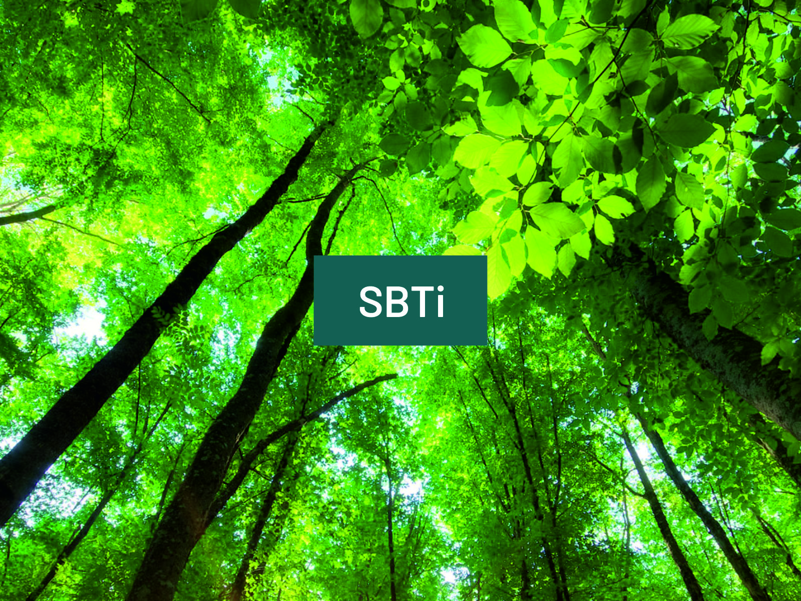 SBTi Validierung Bekanntgabe