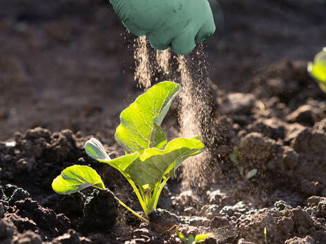 Perfekte Dosierfähigkeit mit JRS ARBOCEL®