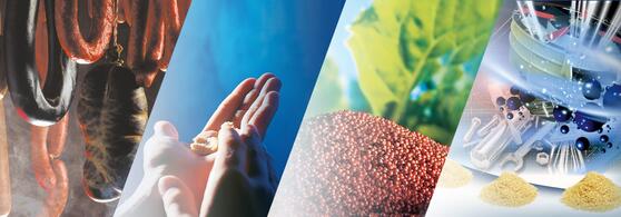 Ideale Zerfalls- oder Zersetzungseigenschaften mit JRS ARBOCEL